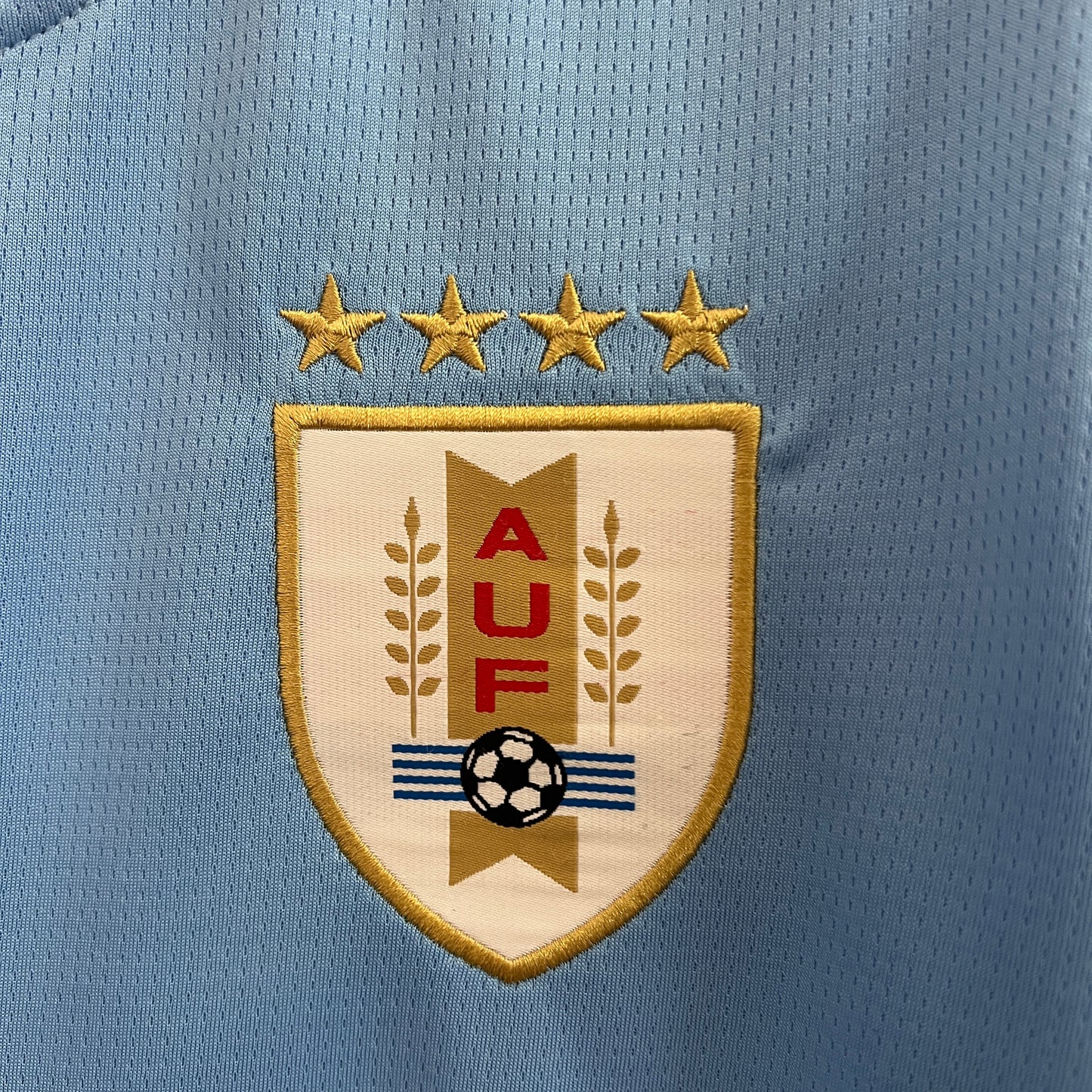 Uruguay Local Fan 2024