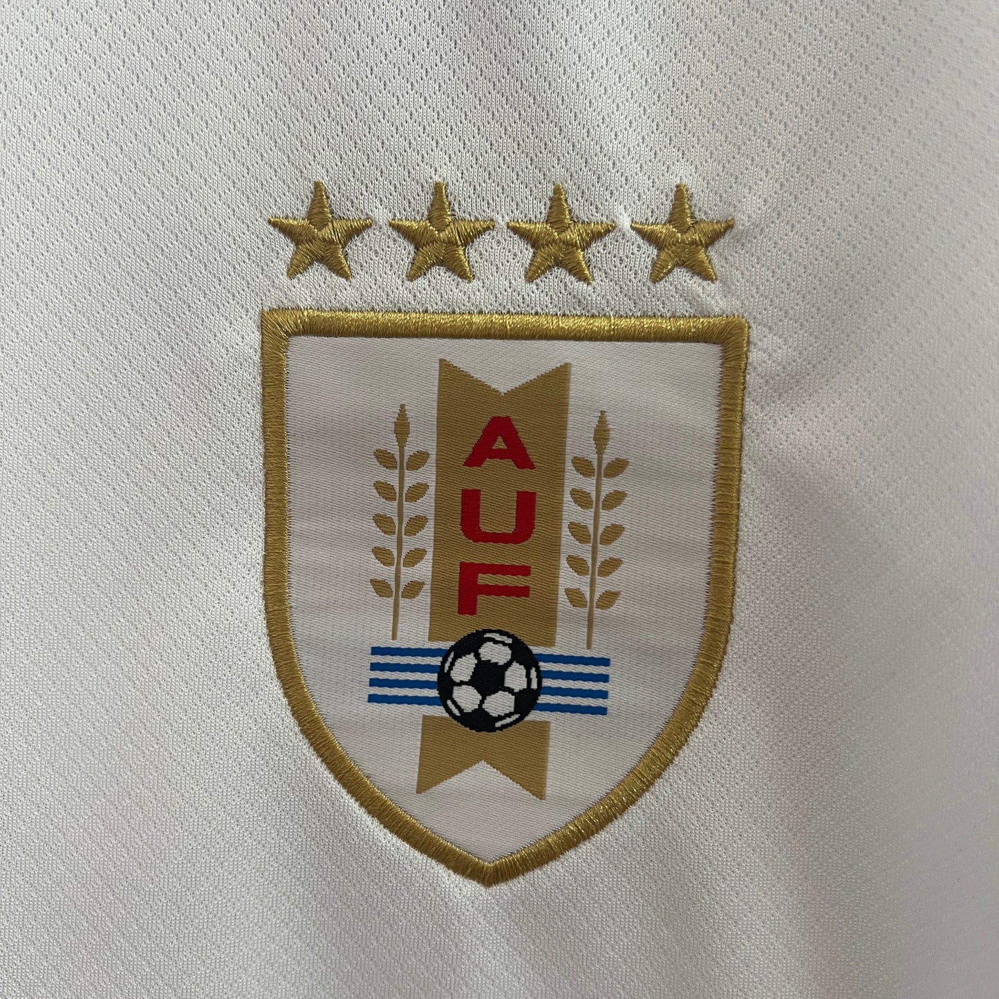 Uruguay Visitante Fan 2024