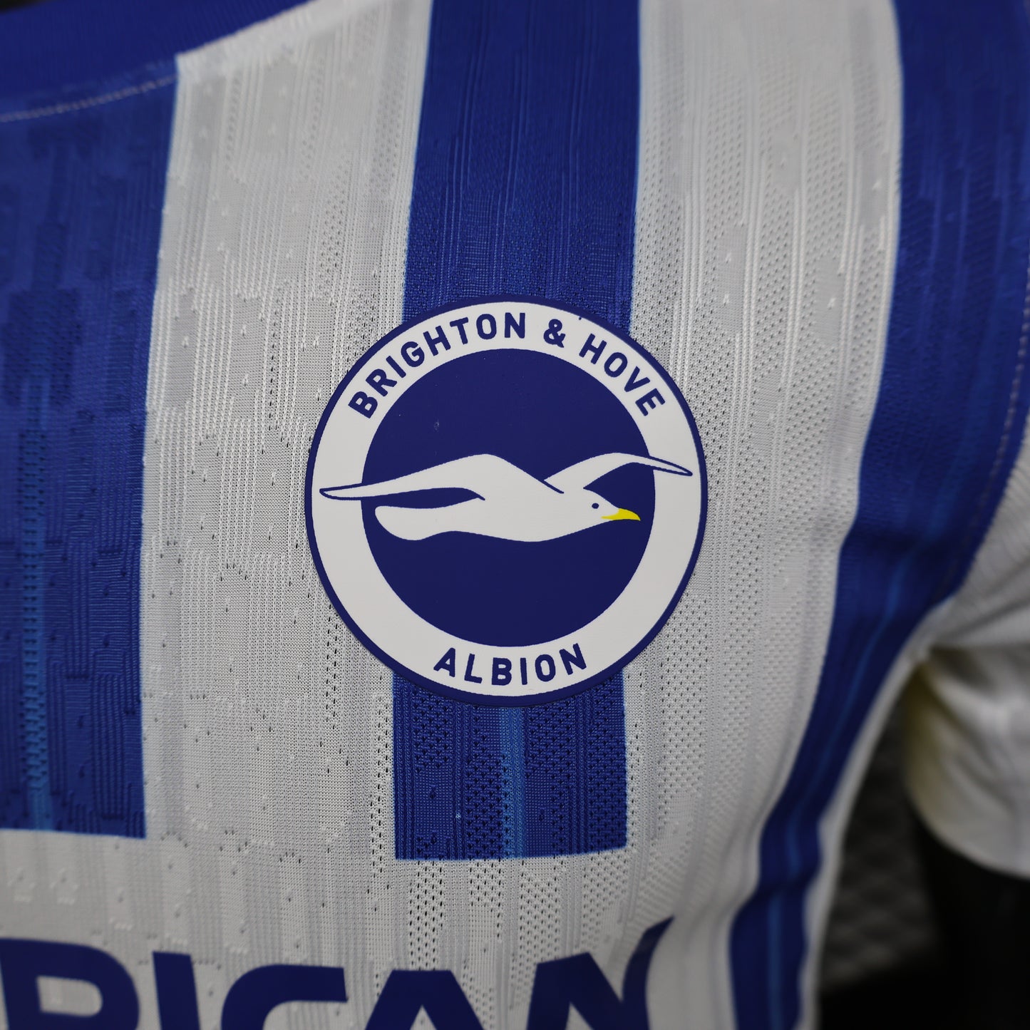 Brighton Local Jugador 24/25