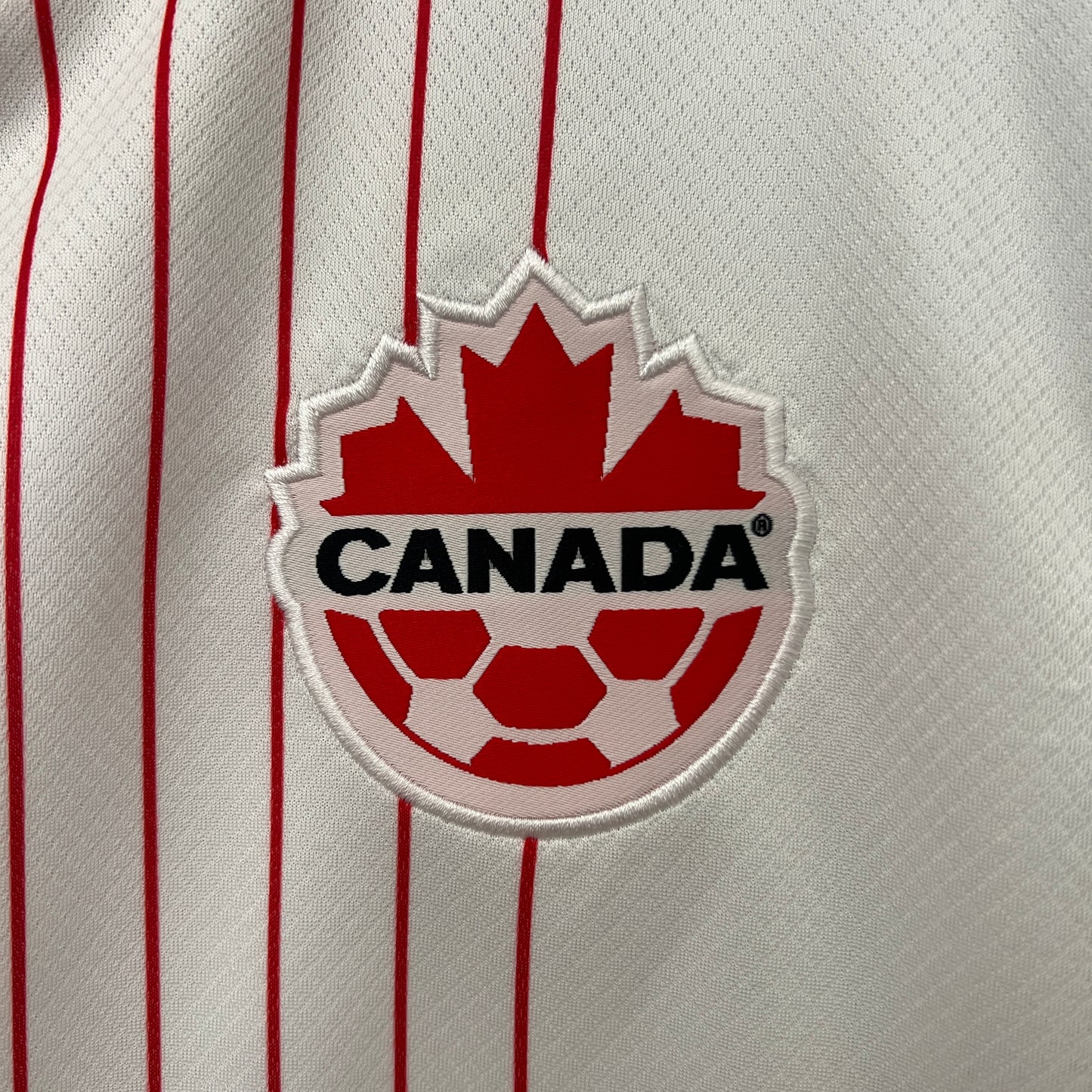 Canada Visitante Fan 2024